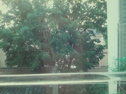 bird_20260510_102750.jpg