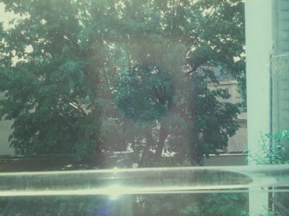 bird_20260510_104608.jpg