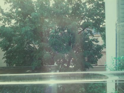 bird_20260510_105227.jpg