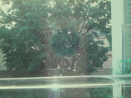 bird_20260510_105251.jpg