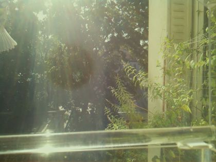 bird_20260902_102002_426_burst0_motion4569_conf0.00_bestnone.jpg