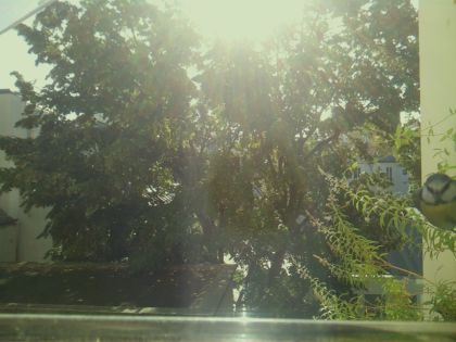 bird_20260918_102417_667_burst4_motion1395_conf0.47_bestbottle.jpg