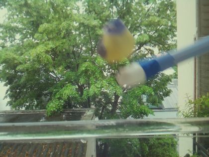 motion_20260510_150352_motion25702_conf0.38_bestbird.jpg