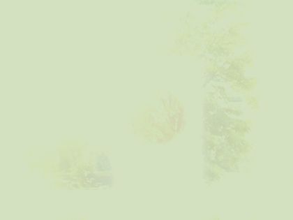 motion_20260512_085718_082_burst2_motion11167_conf0.00_bestnone.jpg